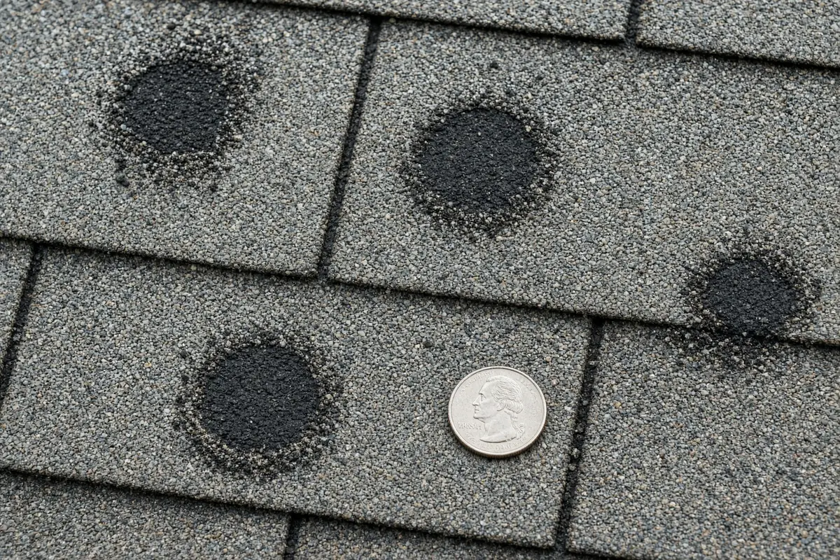 Hail damage: dark spots where granules were knocked off the shingles.